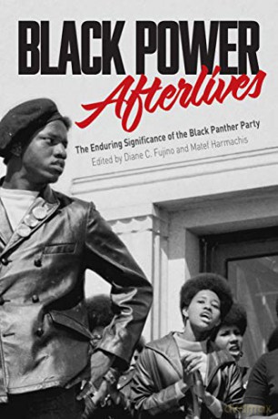 Black Power Afterlives: The Enduring Significance of the Black Panther Party - Diane Fujino [KSIĄŻKA]
