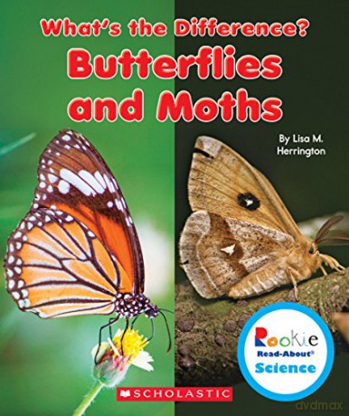 Butterflies and Moths (Rookie Read-About Science: What's the Difference) [KSIĄŻKA]