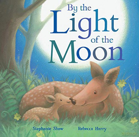By the Light of the Moon - Stephanie Shaw [KSIĄŻKA]