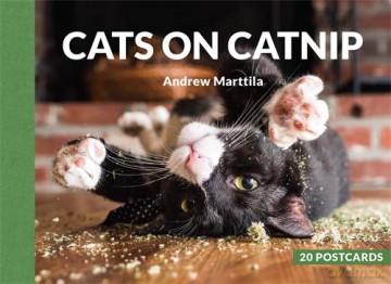 Cats on Catnip: 20 Postcards - Andrew Marttila [KSIĄŻKA]
