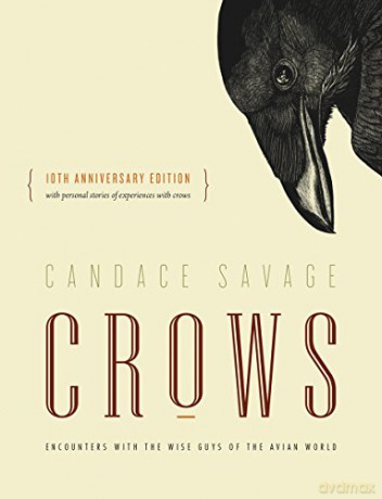 Crows: Encounters with the Wise Guys of the Avian World {10th anniversary edition} - Candace Savage [KSIĄŻKA]