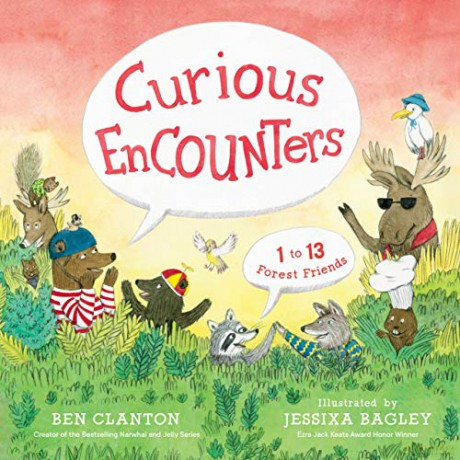 Curious Encounters: 1 to 13 Forest Friends [KSIĄŻKA]
