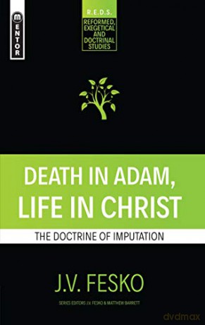 Death in Adam, Life in Christ: The Doctrine of Imputation (Reformed Exegetical Doctrinal Studies series) - J. V. Fesko [KSIĄŻKA]