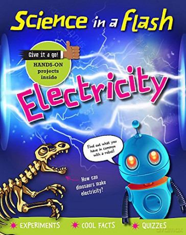 Electricity (Science in a Flash) - Georgia Amson-Bradshaw [KSIĄŻKA]