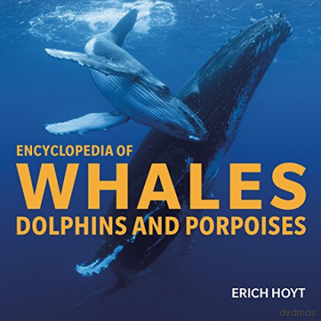 Encyclopedia of Whales, Dolphins and Porpoises [KSIĄŻKA]