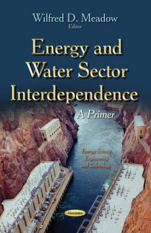 ENERGY WATER SECTOR INTERDEP: A Primer (Energy Science, Engineering and Technology) [KSIĄŻKA]