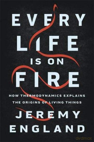 Every Life Is On Fire: How Thermodynamics Explains the Origins of Living Things - Jeremy England [KSIĄŻKA]