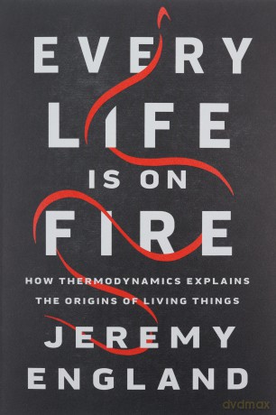 Every Life Is On Fire: How Thermodynamics Explains the Origins of Living Things - Jeremy England [KSIĄŻKA]