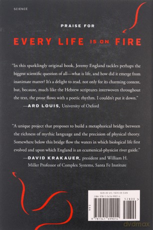 Every Life Is On Fire: How Thermodynamics Explains the Origins of Living Things - Jeremy England [KSIĄŻKA]