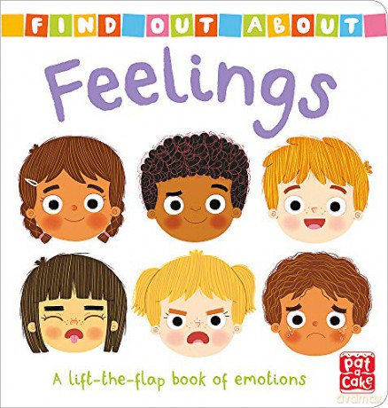 Feelings: A lift-the-flap book of emotions (Find Out About) [KSIĄŻKA]