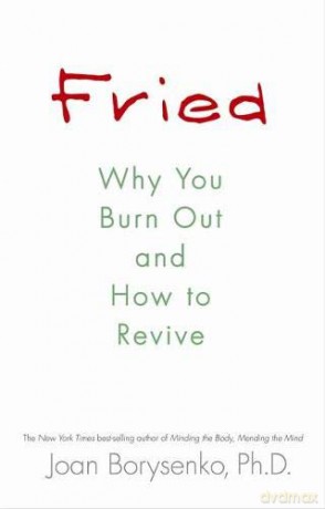 Fried: Why You Burn Out and How to Revive - Joan Borysenko [KSIĄŻKA]