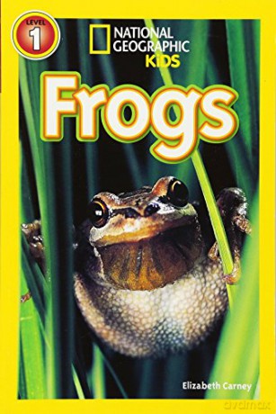Frogs (National Geographic Kids Readers: Level 1) - Elizabeth Carney [KSIĄŻKA]