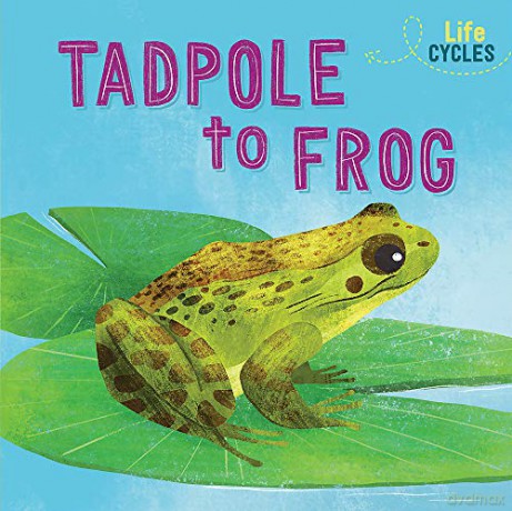 From Tadpole to Frog (Life Cycles) - Rachel Tonkin [KSIĄŻKA]