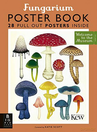 Fungarium Poster Book (Welcome To The Museum) - Ester Gaya [KSIĄŻKA]