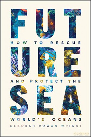 Future Sea: How to Rescue and Protect the World's Oceans - Deborah Rowan Wright [KSIĄŻKA]