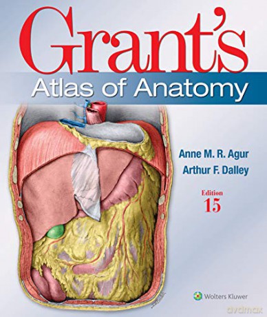 Grant's Atlas of Anatomy (Lippincott Connect) [KSIĄŻKA]