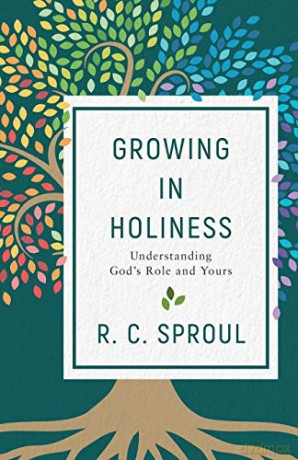 Growing in Holiness: Understanding God's Role and Yours [KSIĄŻKA]