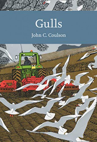 Gulls: Book 139 (Collins New Naturalist Library) - Professor John C. Coulson [KSIĄŻKA]