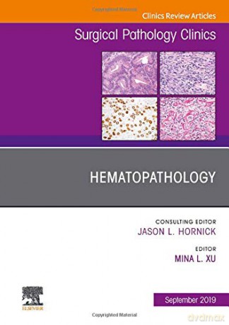 Hematopathology, An Issue of Surgical Pathology Clinics (Volume 12-3) (The Clinics: Surgery, Volume 12-3) - Mina L Xu [KSIĄŻKA]