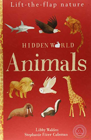 Hidden World: Animals - Libby Walden [KSIĄŻKA]