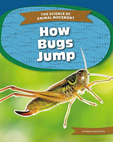 How Bugs Jump (9781644944301) [KSIĄŻKA]