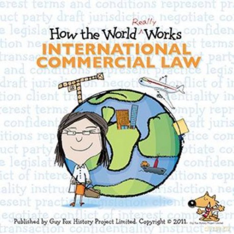 How the World Really Works: International Commercial Law [KSIĄŻKA]
