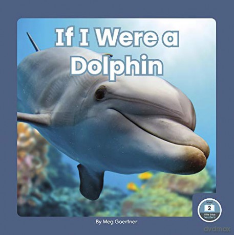 If I Were a Dolphin (9781646193196) [KSIĄŻKA]