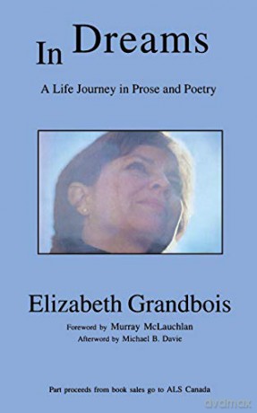 In Dreams: A Life Journey in Prose and Poetry - Elizabeth Grandbois [KSIĄŻKA]