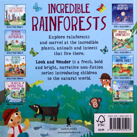 Incredible Rainforests (Look and Wonder) - Kay Barnham [KSIĄŻKA]