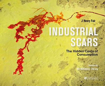 Industrial Scars: The Hidden Cost of Consumption [KSIĄŻKA]