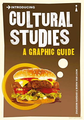 Introducing Cultural Studies: A Graphic Guide - Ziauddin Sardar [KSIĄŻKA]