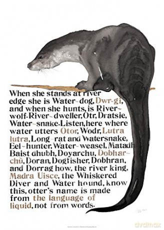 Jackie Morris The Names of the Otter Poster (Jackie Morris Posters) [KSIĄŻKA]