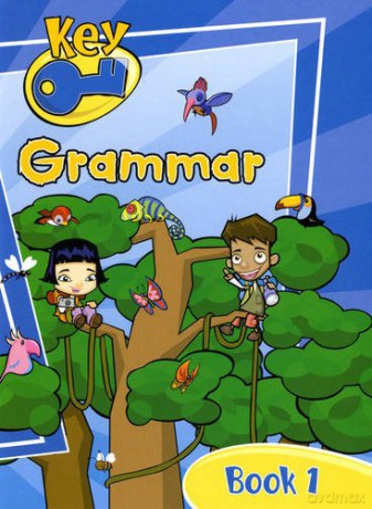 Key Grammar Pupil Book 1 - Robert John Hoare [KSIĄŻKA]