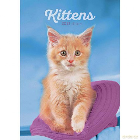 Kittens A5 Diary 2021 (Diary Engagement) [KSIĄŻKA]