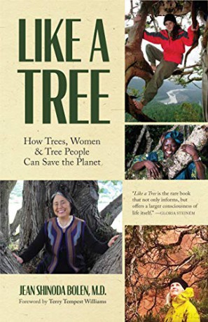 Like a Tree: How Trees, Women, and Tree People Can Save the Planet (Ecofeminism, Environmental Activism) - Jean Shinoda Bolen [KSIĄŻKA]