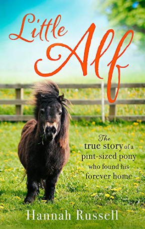 Little Alf: The true story of a pint-sized pony who found his forever home [KSIĄŻKA]