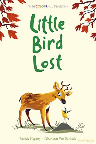 Little Bird Lost (Colour Fiction) - Patricia Hegarty [KSIĄŻKA]