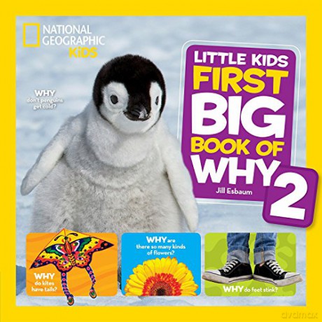 Little Kids First Big Book of Why 2 (National Geographic Kids) [KSIĄŻKA]