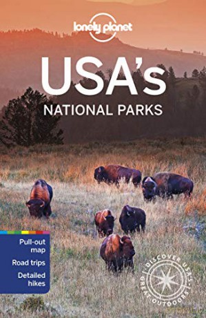Lonely Planet USA's National Parks (Travel Guide) [KSIĄŻKA]