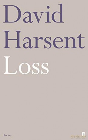 Loss - David Harsent [KSIĄŻKA]