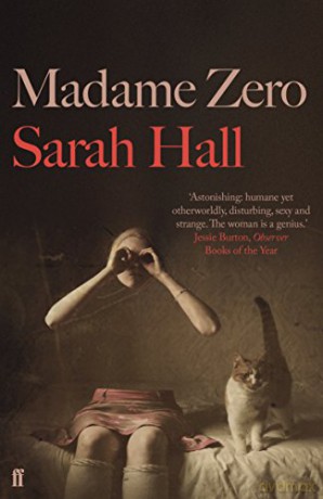 Madame Zero - Sarah Hall [KSIĄŻKA]