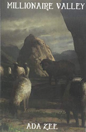 Millionaire Valley: Doing business with a sociopath and surviving [KSIĄŻKA]