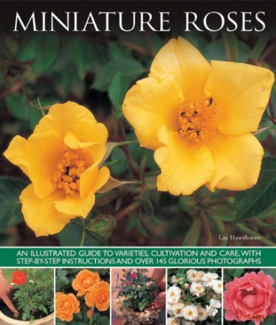 Miniature Roses [KSIĄŻKA]
