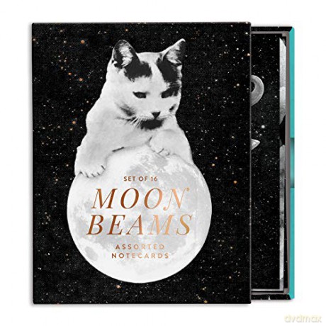 Moonbeams Greeting Card Assortment [KSIĄŻKA]