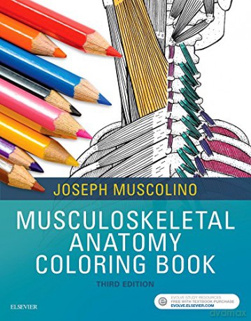 Musculoskeletal Anatomy Coloring Book, 3e - Joseph E. Muscolino [KSIĄŻKA]