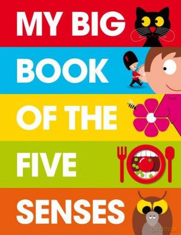 My Big Book of the Five Senses [KSIĄŻKA]