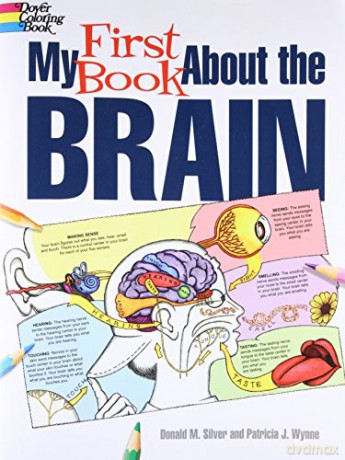 My First Book About the Brain (Dover Children's Science Books) - Patricia J. Wynne [KSIĄŻKA]