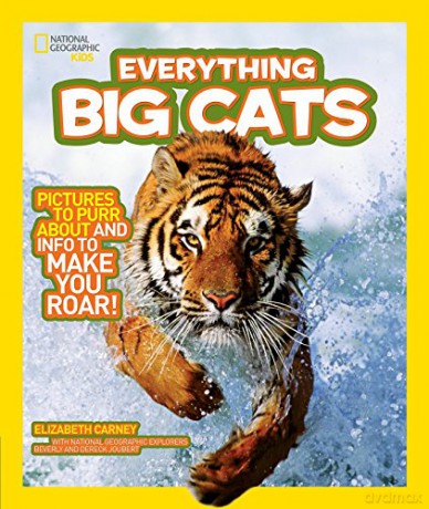 National Geographic Kids Everything Big Cats: Pictures to Purr about and Info to Make You Roar! [KSIĄŻKA]