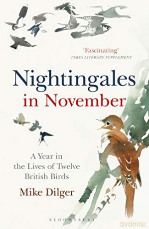 Nightingales in November: A Year in the Lives of Twelve British Birds - Mike Dilger [KSIĄŻKA]