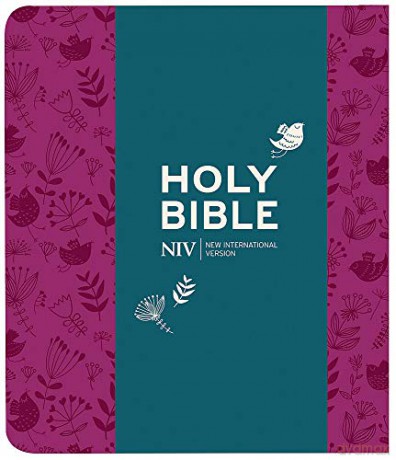 NIV Journalling Plum Soft-tone Bible with Clasp (New International Version) - New International Version [KSIĄŻKA]